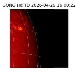gong - 2026-04-29T16:00:22