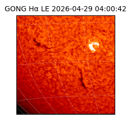 gong - 2026-04-29T04:00:42