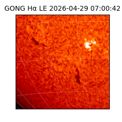 gong - 2026-04-29T07:00:42