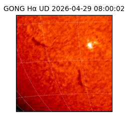 gong - 2026-04-29T08:00:02