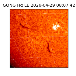 gong - 2026-04-29T08:07:42