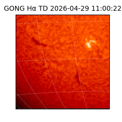 gong - 2026-04-29T11:00:22