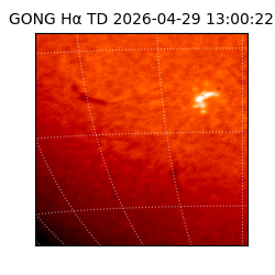 gong - 2026-04-29T13:00:22