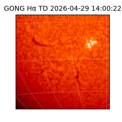 gong - 2026-04-29T14:00:22