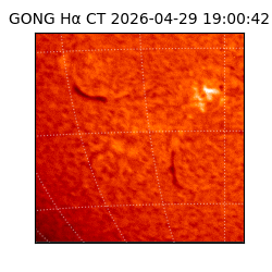 gong - 2026-04-29T19:00:42