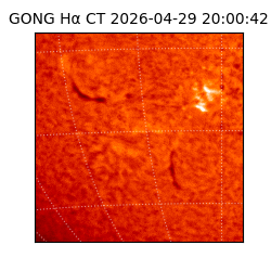 gong - 2026-04-29T20:00:42