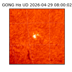 gong - 2026-04-29T08:00:02