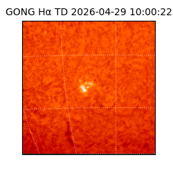 gong - 2026-04-29T10:00:22