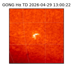gong - 2026-04-29T13:00:22