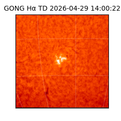 gong - 2026-04-29T14:00:22
