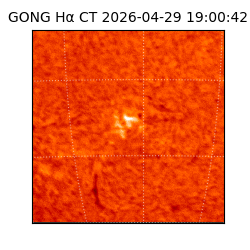 gong - 2026-04-29T19:00:42