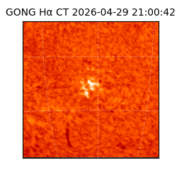 gong - 2026-04-29T21:00:42