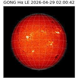 gong - 2026-04-29T02:00:42