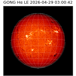 gong - 2026-04-29T03:00:42