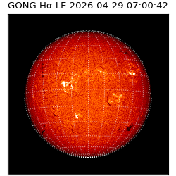 gong - 2026-04-29T07:00:42