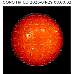gong - 2026-04-29T08:00:02