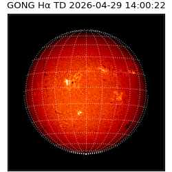 gong - 2026-04-29T14:00:22