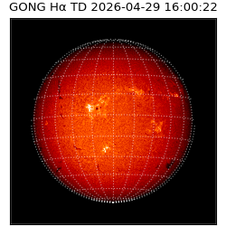 gong - 2026-04-29T16:00:22