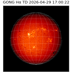gong - 2026-04-29T17:00:22
