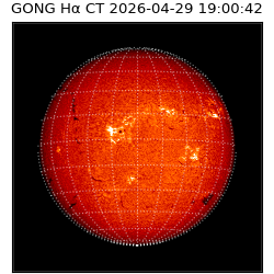 gong - 2026-04-29T19:00:42