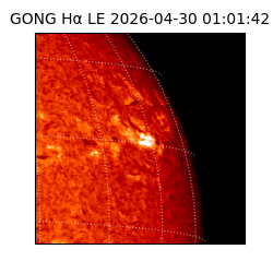 gong - 2026-04-30T01:01:42