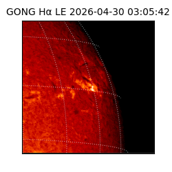 gong - 2026-04-30T03:05:42
