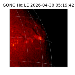 gong - 2026-04-30T05:19:42