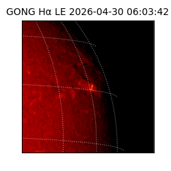 gong - 2026-04-30T06:03:42