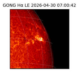 gong - 2026-04-30T07:00:42