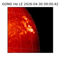 gong - 2026-04-30T09:00:42