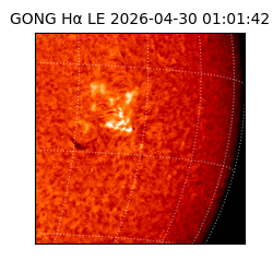 gong - 2026-04-30T01:01:42