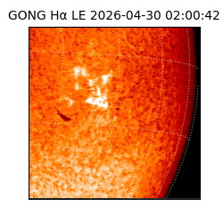 gong - 2026-04-30T02:00:42