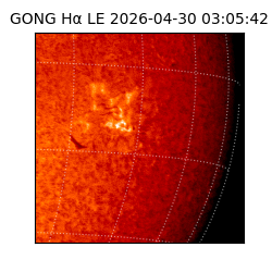 gong - 2026-04-30T03:05:42