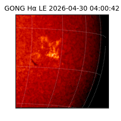 gong - 2026-04-30T04:00:42