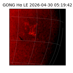 gong - 2026-04-30T05:19:42
