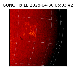 gong - 2026-04-30T06:03:42
