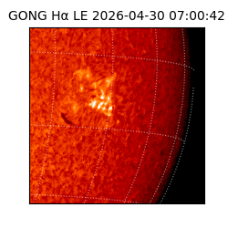 gong - 2026-04-30T07:00:42