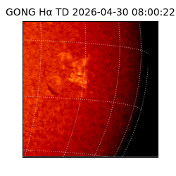 gong - 2026-04-30T08:00:22