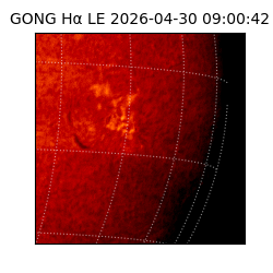 gong - 2026-04-30T09:00:42