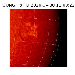gong - 2026-04-30T11:00:22
