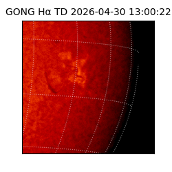 gong - 2026-04-30T13:00:22