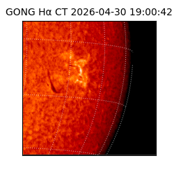 gong - 2026-04-30T19:00:42