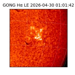 gong - 2026-04-30T01:01:42
