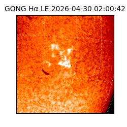 gong - 2026-04-30T02:00:42