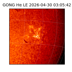 gong - 2026-04-30T03:05:42