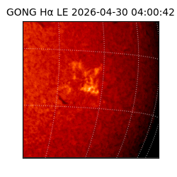 gong - 2026-04-30T04:00:42
