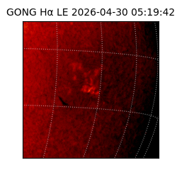 gong - 2026-04-30T05:19:42