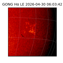 gong - 2026-04-30T06:03:42