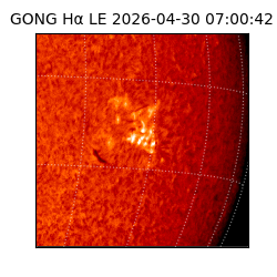 gong - 2026-04-30T07:00:42