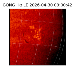 gong - 2026-04-30T09:00:42
